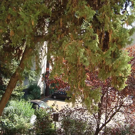 Villa Sciarra-2